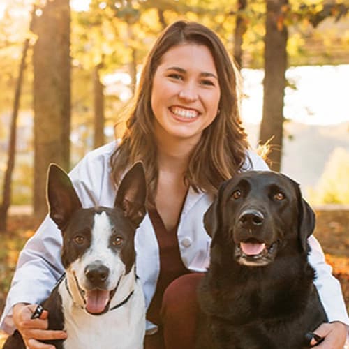 Dr. Taylor May, Mamaroneck Veterinarian